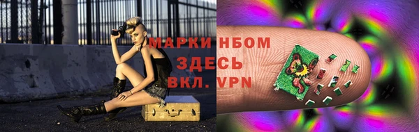 гидра Липки