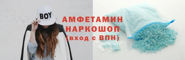 гидра Липки